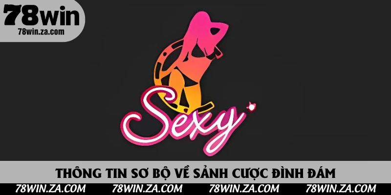 AE Sexy Casino - Sảnh Live Giải Trí Và Cuốn Hút Nhất Hiện Nay 2 Thông tin sơ bộ về sảnh cược đình đám