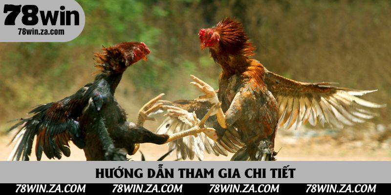 Đá Gà 78win: Trải Nghiệm Kịch Tính Tại Nhà Cái Uy Tín Hàng Đầu Châu Á 4 Hướng dẫn tham gia chi tiết